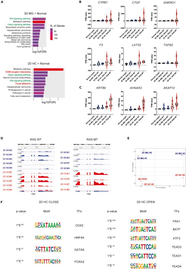 https://cdn.ncbi.nlm.nih.gov/pmc/blobs/3525/10910304/16be7c739639/gr4.jpg