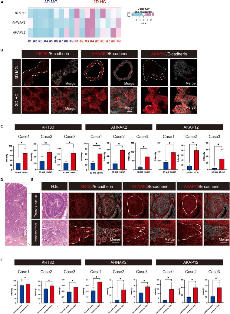 https://cdn.ncbi.nlm.nih.gov/pmc/blobs/3525/10910304/41da65851936/gr3.jpg