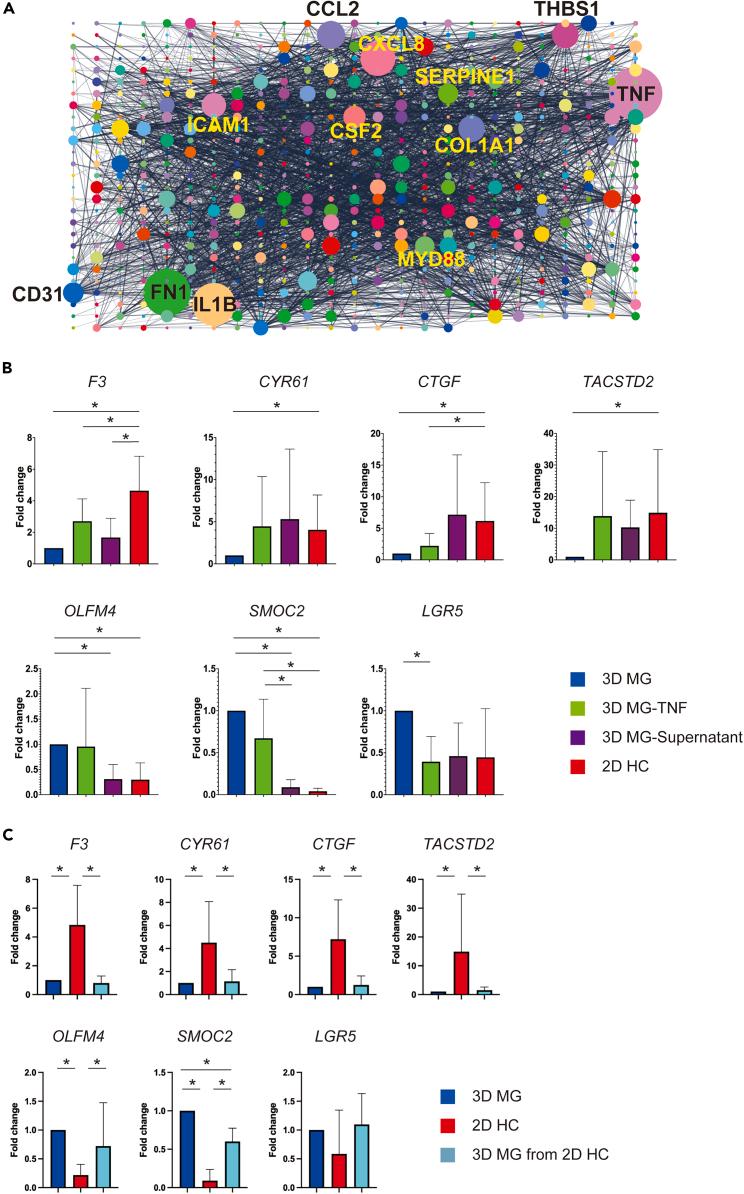 https://cdn.ncbi.nlm.nih.gov/pmc/blobs/3525/10910304/6cde9888fe35/gr5.jpg