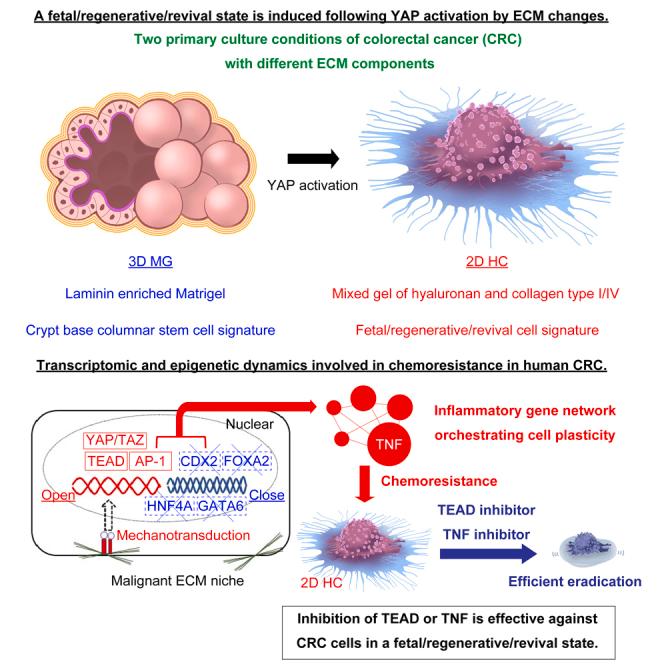 https://cdn.ncbi.nlm.nih.gov/pmc/blobs/3525/10910304/ee82024a5727/fx1.jpg