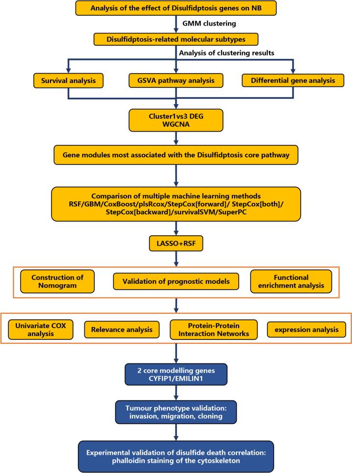 https://cdn.ncbi.nlm.nih.gov/pmc/blobs/3526/11793658/1215608bd1ca/432_2024_5630_Fig1_HTML.jpg