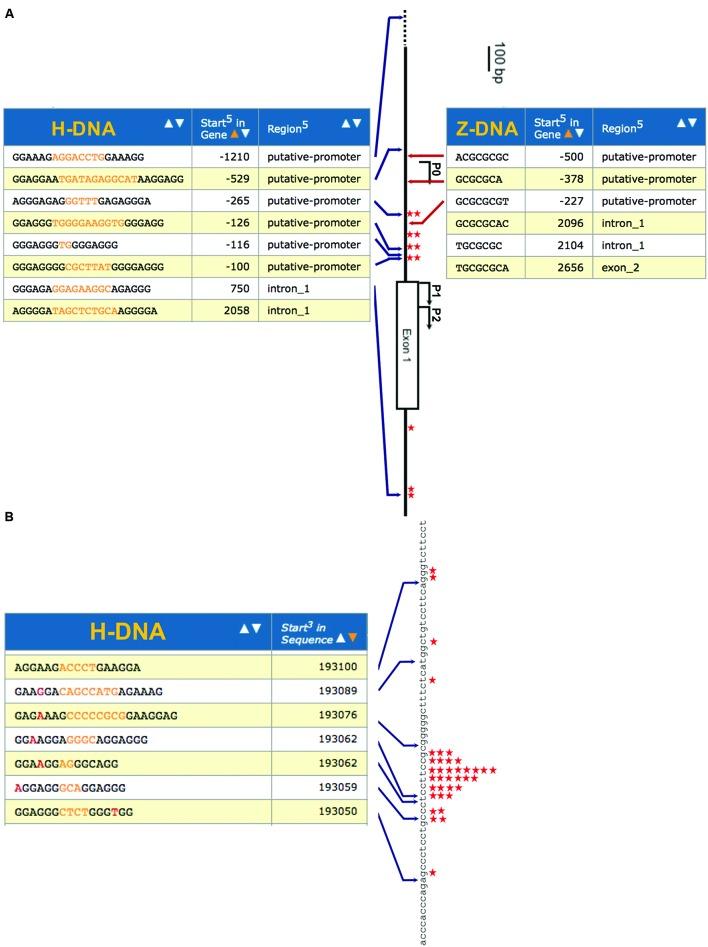 https://cdn.ncbi.nlm.nih.gov/pmc/blobs/352b/4969553/02540f55eafd/fgene-07-00135-g001.jpg