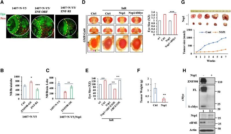 https://cdn.ncbi.nlm.nih.gov/pmc/blobs/352c/11330866/7c3ea8e36531/pgae321f6.jpg