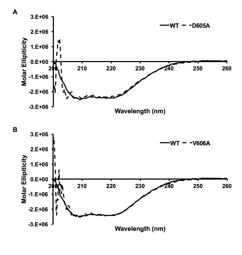 https://cdn.ncbi.nlm.nih.gov/pmc/blobs/352f/5770049/b4420dd618f5/pone.0191226.g005.jpg