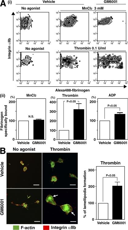 https://cdn.ncbi.nlm.nih.gov/pmc/blobs/3530/2525582/1d37fed0b933/jem2051917f04.jpg