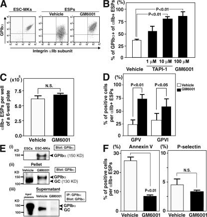 https://cdn.ncbi.nlm.nih.gov/pmc/blobs/3530/2525582/28cf3d890b4a/jem2051917f03.jpg