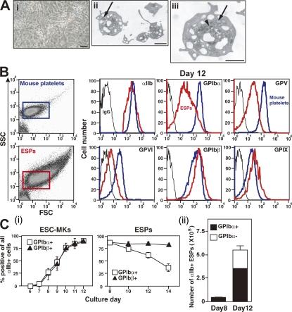 https://cdn.ncbi.nlm.nih.gov/pmc/blobs/3530/2525582/c1e4420b0fc4/jem2051917f02.jpg