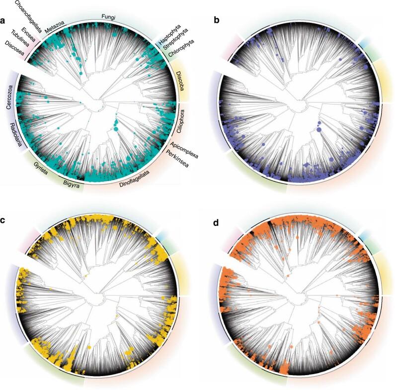 https://cdn.ncbi.nlm.nih.gov/pmc/blobs/3531/9525238/1fddba4381c5/41559_2022_1838_Fig8_ESM.jpg