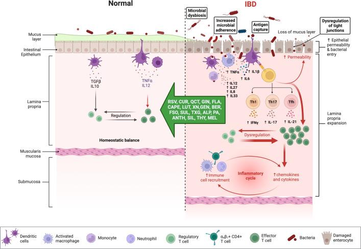 https://cdn.ncbi.nlm.nih.gov/pmc/blobs/3532/10493311/bf8ce45f005a/fendo-14-1217165-g003.jpg