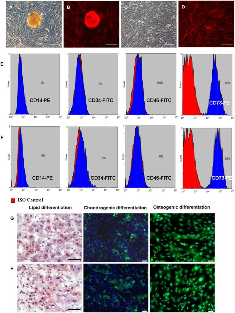 https://cdn.ncbi.nlm.nih.gov/pmc/blobs/3532/4039525/dcbdb68961a0/pone.0098749.g001.jpg