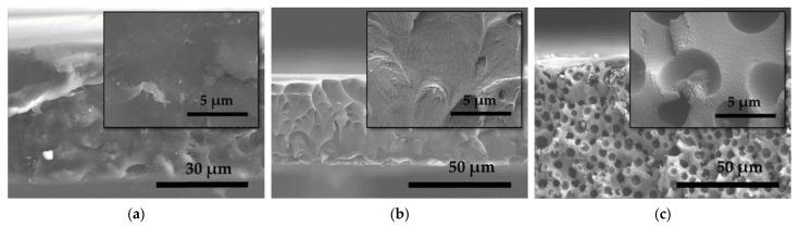 https://cdn.ncbi.nlm.nih.gov/pmc/blobs/3533/7999237/8ad91865ecf3/nanomaterials-11-00668-g004.jpg