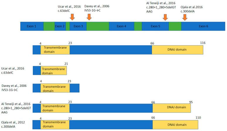 https://cdn.ncbi.nlm.nih.gov/pmc/blobs/3534/8953902/a4b5494e82a4/ijms-23-03353-g002.jpg