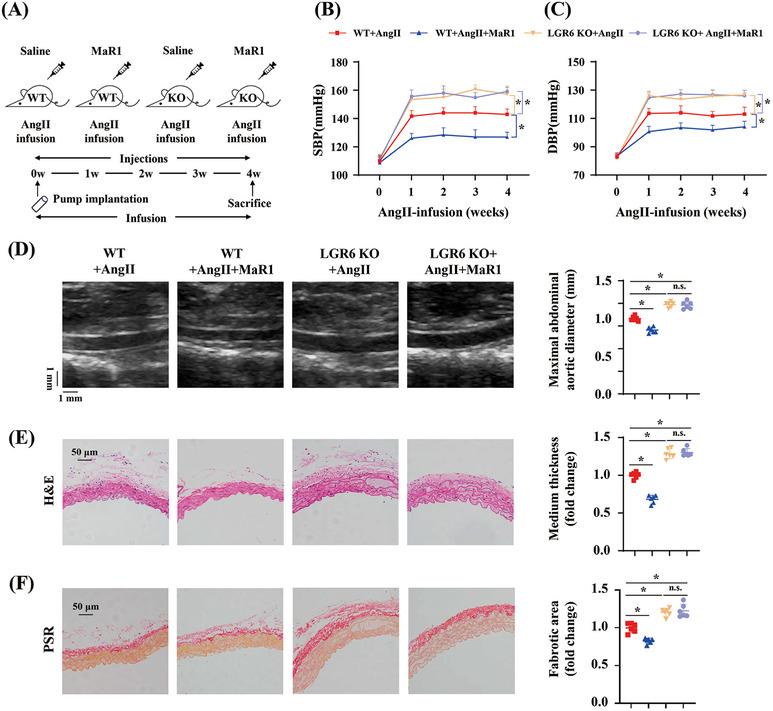 https://cdn.ncbi.nlm.nih.gov/pmc/blobs/3536/10924638/1c151681979c/MCO2-5-e491-g003.jpg