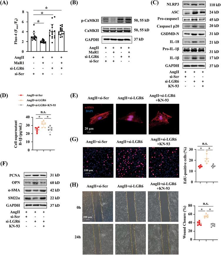 https://cdn.ncbi.nlm.nih.gov/pmc/blobs/3536/10924638/84680d5481ea/MCO2-5-e491-g005.jpg