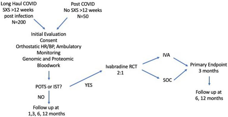 https://cdn.ncbi.nlm.nih.gov/pmc/blobs/3539/12278775/ba67554cd27d/fneur-16-1550636-g001.jpg