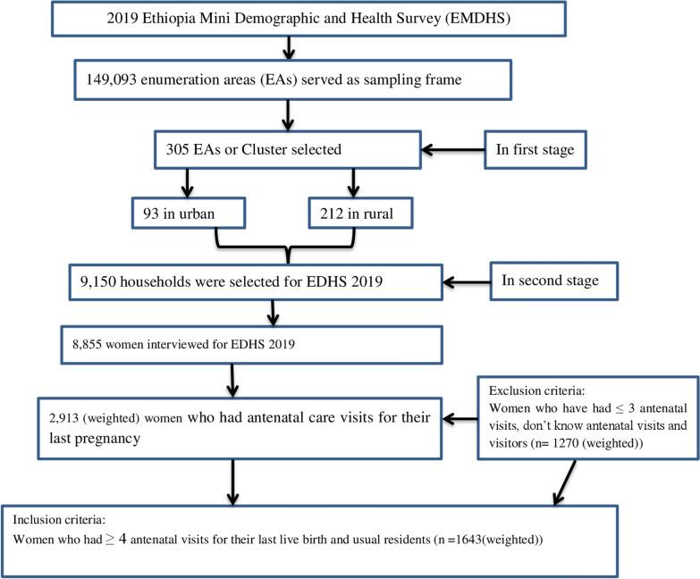 https://cdn.ncbi.nlm.nih.gov/pmc/blobs/353b/11977924/d13c62ebee51/12978_2025_1970_Fig1_HTML.jpg