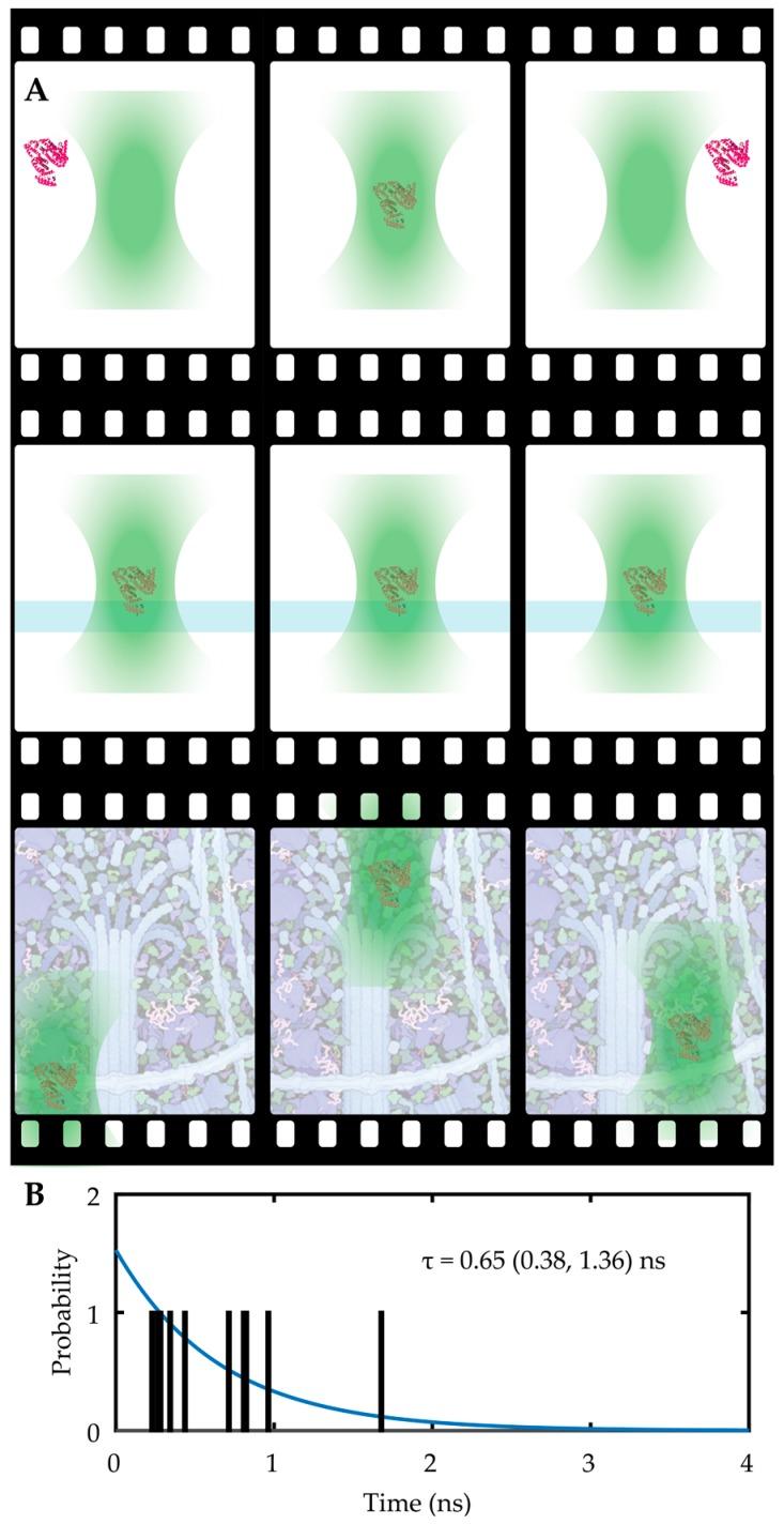 https://cdn.ncbi.nlm.nih.gov/pmc/blobs/353b/6695621/51d2c64b036f/molecules-24-02826-g002.jpg
