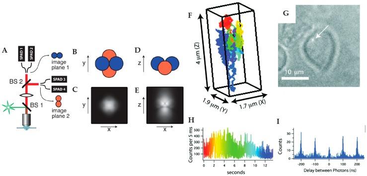 https://cdn.ncbi.nlm.nih.gov/pmc/blobs/353b/6695621/acccb0f497a2/molecules-24-02826-g004.jpg