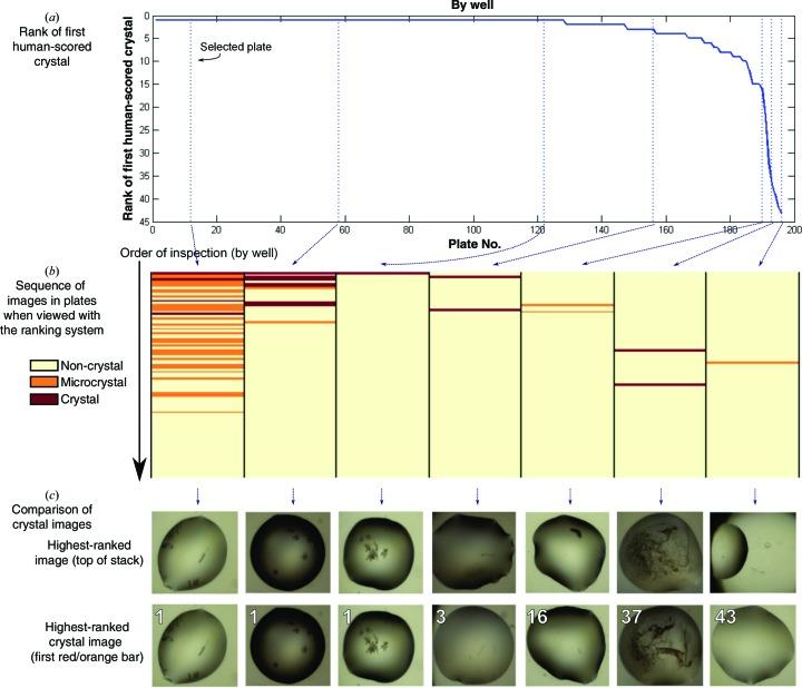 https://cdn.ncbi.nlm.nih.gov/pmc/blobs/353d/4188010/3a48fe4a1107/d-70-02702-fig11.jpg