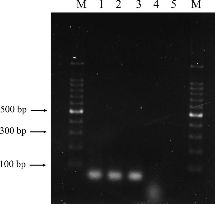 https://cdn.ncbi.nlm.nih.gov/pmc/blobs/353d/8484006/60f505f6e6c4/bmfh-40-186-g002.jpg