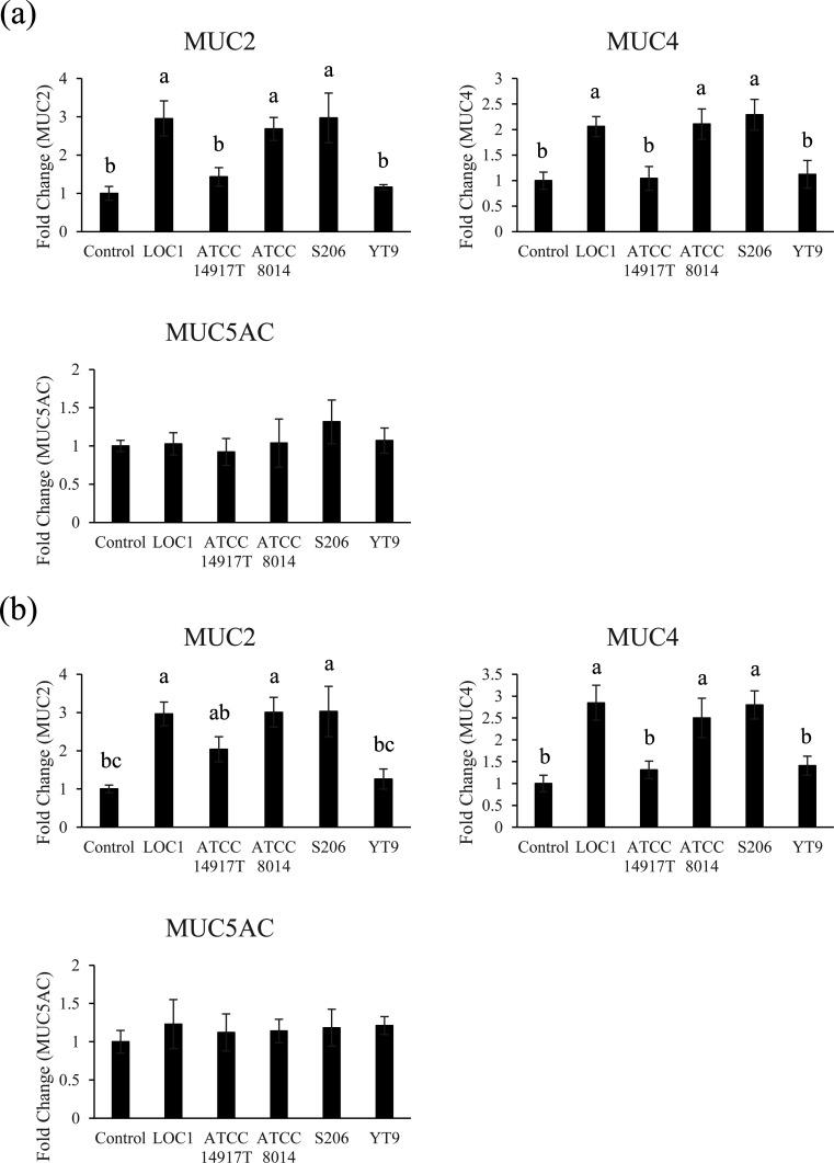 https://cdn.ncbi.nlm.nih.gov/pmc/blobs/353d/8484006/c012975aaa13/bmfh-40-186-g005.jpg