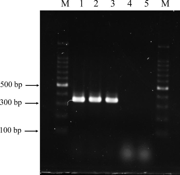 https://cdn.ncbi.nlm.nih.gov/pmc/blobs/353d/8484006/e48653b7c9f5/bmfh-40-186-g001.jpg