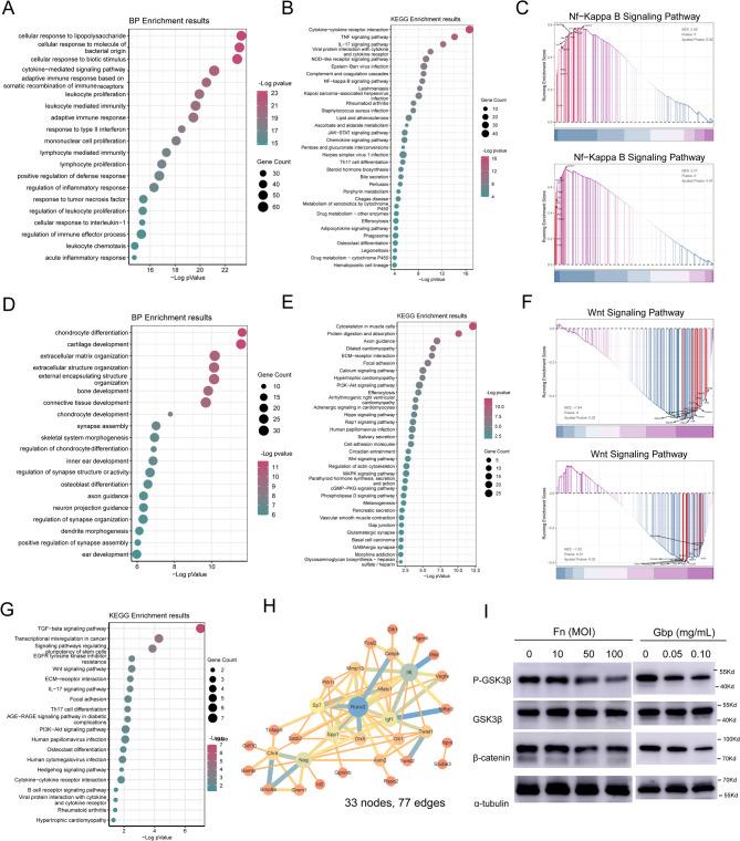 https://cdn.ncbi.nlm.nih.gov/pmc/blobs/353e/12080044/3c3ba013c592/12967_2025_6569_Fig6_HTML.jpg