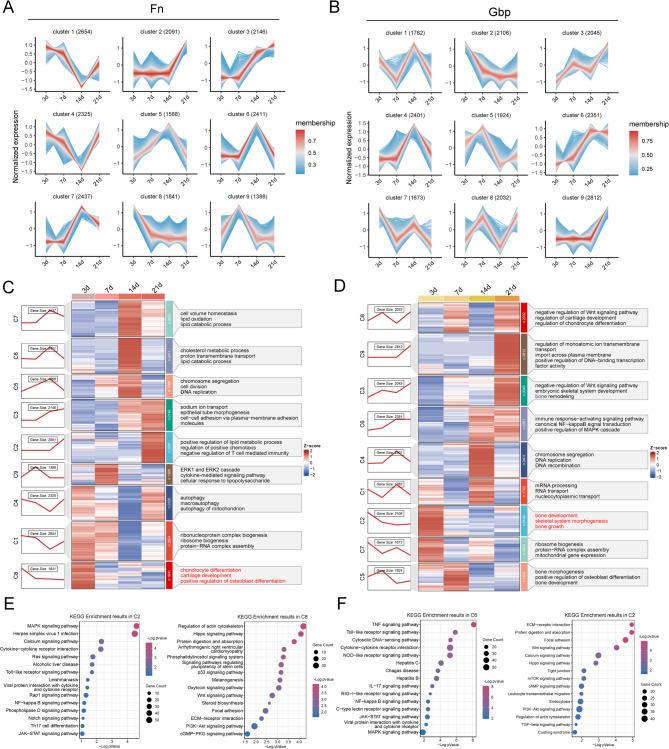 https://cdn.ncbi.nlm.nih.gov/pmc/blobs/353e/12080044/f5340aa50dee/12967_2025_6569_Fig5_HTML.jpg