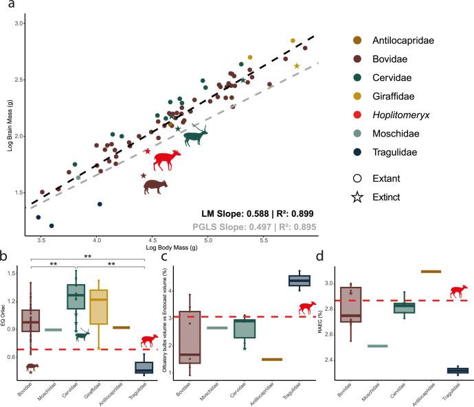 https://cdn.ncbi.nlm.nih.gov/pmc/blobs/353e/12404810/ac5e5f5e0c1d/rspb.2025.1542.f003.jpg