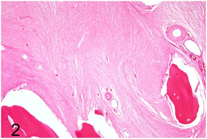 https://cdn.ncbi.nlm.nih.gov/pmc/blobs/353f/5389639/f44d0600bcc6/pone.0173873.g002.jpg