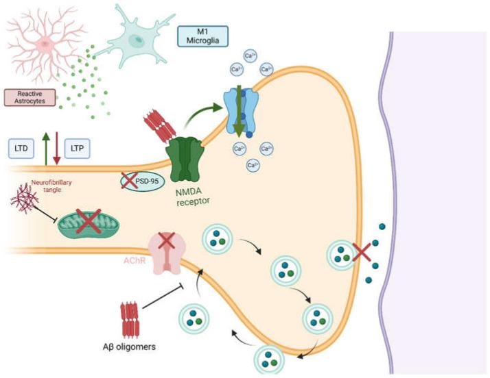 https://cdn.ncbi.nlm.nih.gov/pmc/blobs/3541/12196369/377b3b0a3ac6/neurolint-17-00081-g002.jpg