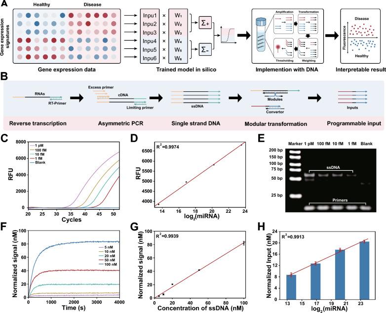 https://cdn.ncbi.nlm.nih.gov/pmc/blobs/3544/11025223/0c793f63ef86/12951_2024_2445_Fig1_HTML.jpg