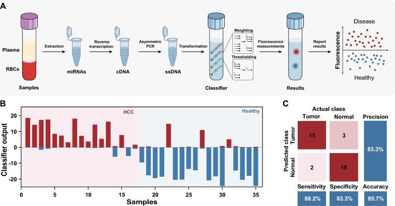 https://cdn.ncbi.nlm.nih.gov/pmc/blobs/3544/11025223/8ec94022f77e/12951_2024_2445_Fig5_HTML.jpg