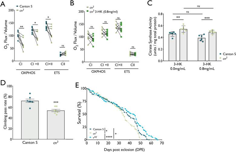 https://cdn.ncbi.nlm.nih.gov/pmc/blobs/3545/7654755/3611fdb73a65/pgen.1009129.g003.jpg