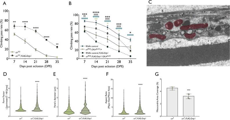https://cdn.ncbi.nlm.nih.gov/pmc/blobs/3545/7654755/69b2c9bf0c4a/pgen.1009129.g006.jpg