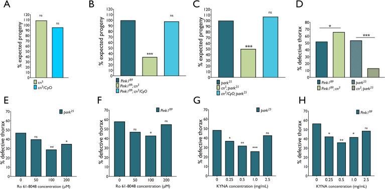https://cdn.ncbi.nlm.nih.gov/pmc/blobs/3545/7654755/76220f20c181/pgen.1009129.g004.jpg
