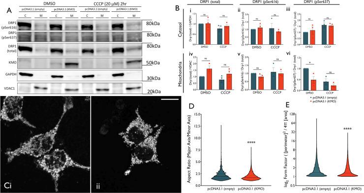 https://cdn.ncbi.nlm.nih.gov/pmc/blobs/3545/7654755/c3c25dc2ef22/pgen.1009129.g007.jpg