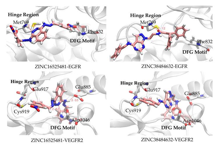 https://cdn.ncbi.nlm.nih.gov/pmc/blobs/3548/7590020/1fc2dff49729/ijms-21-07779-g011.jpg