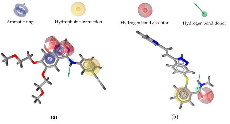 https://cdn.ncbi.nlm.nih.gov/pmc/blobs/3548/7590020/ed84696152d0/ijms-21-07779-g002.jpg