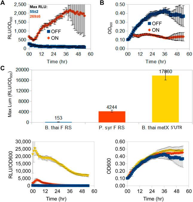https://cdn.ncbi.nlm.nih.gov/pmc/blobs/3549/8814607/9dd35e2a4e92/fgene-12-591543-g002.jpg