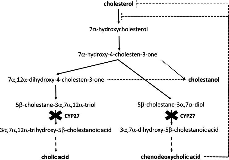 https://cdn.ncbi.nlm.nih.gov/pmc/blobs/354a/4709371/2c7ca697234b/431_2015_2584_Fig1_HTML.jpg