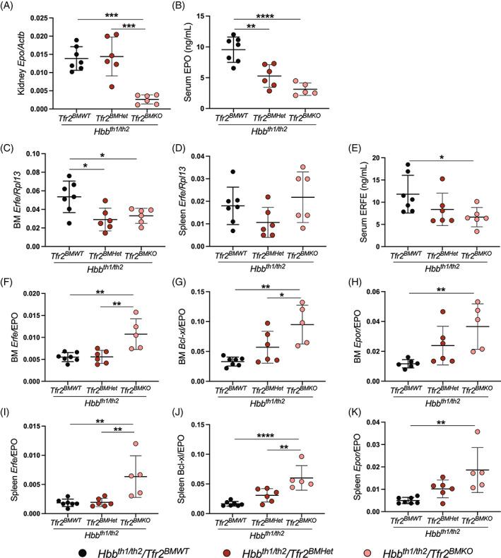 https://cdn.ncbi.nlm.nih.gov/pmc/blobs/354a/9540808/4140d71a4305/AJH-97-1324-g002.jpg