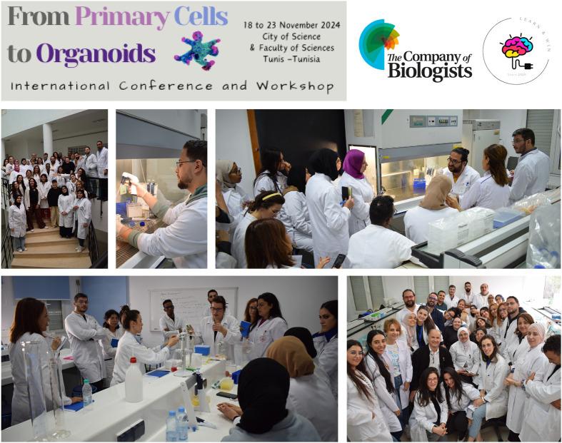 https://cdn.ncbi.nlm.nih.gov/pmc/blobs/354b/12309900/7383a10ec9ed/biolopen-14-061970-g2.jpg