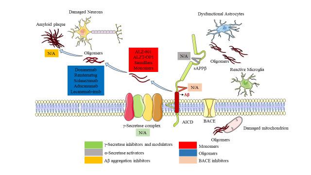 https://cdn.ncbi.nlm.nih.gov/pmc/blobs/354d/10796103/757670ac48e5/AD-15-1-201-g6.jpg