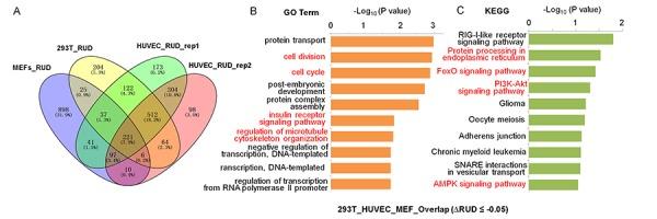 https://cdn.ncbi.nlm.nih.gov/pmc/blobs/354d/6428108/dae5b8ba3bbb/aging-11-101836-g003.jpg