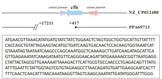https://cdn.ncbi.nlm.nih.gov/pmc/blobs/3551/12054153/9ce6d2eb0132/spectrum.03257-24.f003.jpg