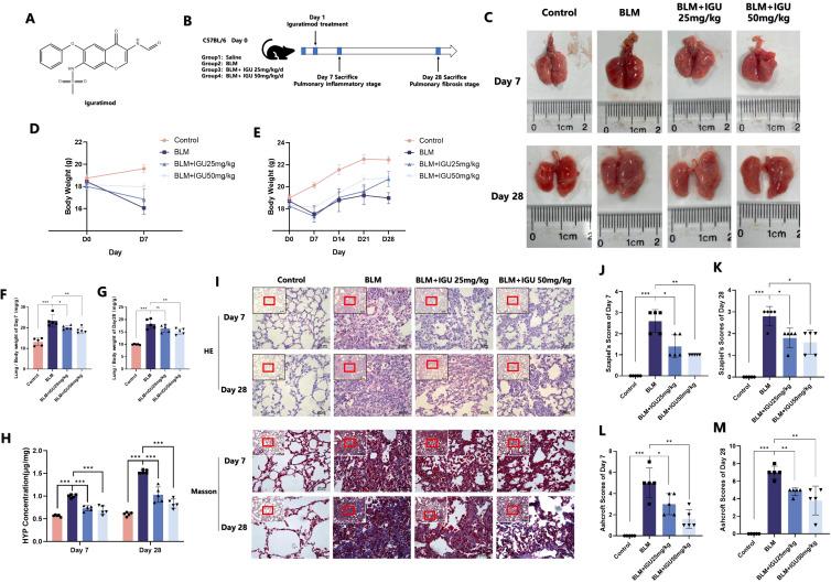 https://cdn.ncbi.nlm.nih.gov/pmc/blobs/3552/11966494/d4151b3c83cd/fimmu-16-1558903-g001.jpg