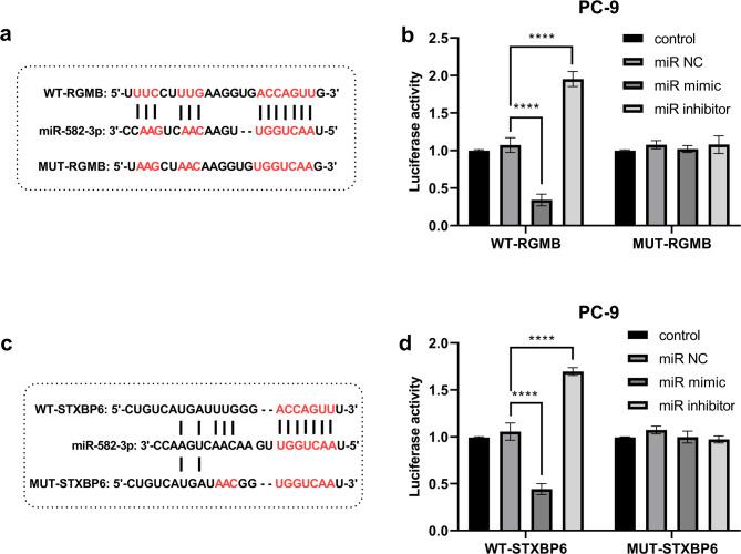 https://cdn.ncbi.nlm.nih.gov/pmc/blobs/3552/12211715/74e2625be838/41065_2025_482_Fig5_HTML.jpg