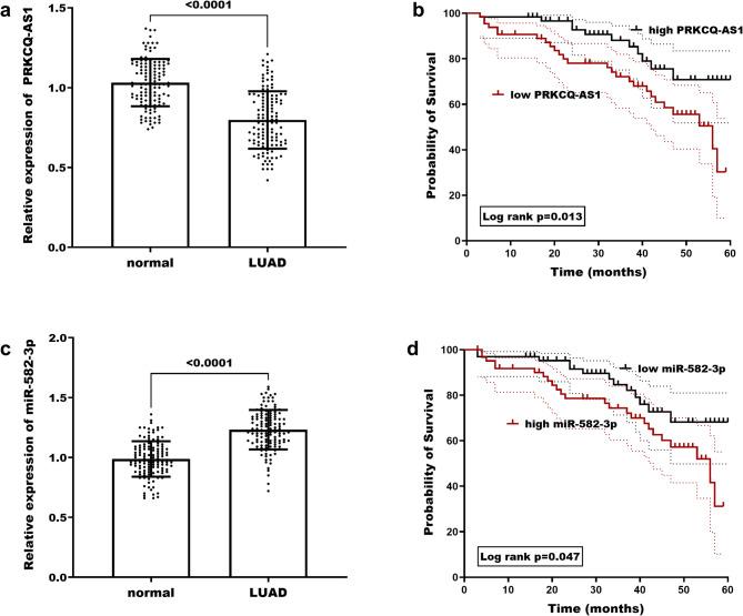 https://cdn.ncbi.nlm.nih.gov/pmc/blobs/3552/12211715/d7affc50d3a5/41065_2025_482_Fig1_HTML.jpg
