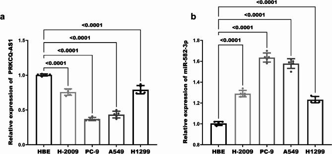 https://cdn.ncbi.nlm.nih.gov/pmc/blobs/3552/12211715/ea7fad452593/41065_2025_482_Fig2_HTML.jpg